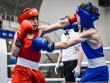 &ldquo;Neftçi&rdquo; İdman Klubu kadetlər arasında boks yarışında zirvəyə yüksəldi
